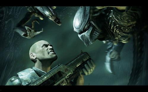 异形大战铁血战士在线观看,星际对决,谁主沉浮? 第3张 异形大战铁血战士在线观看,星际对决,谁主沉浮? 第3张